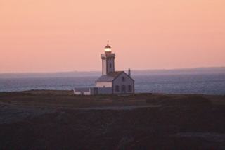 Alsace Wines: Riesling, Gewurztraminer and Aromatic Whites