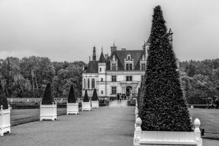 Loire Valley Wines: Sancerre, Vouvray, Chinon and More