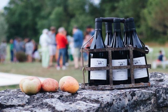 Rhone Valley Wines: Generous Vintages from North to South Rhone Valley Wines: Generous Vintages from North to South