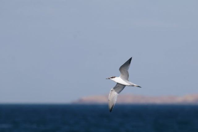 Wine Investment: Building a Collection That Grows in Value Wine Investment: Building a Collection That Grows in Value