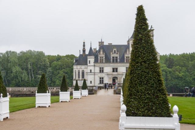 Loire Valley Wines: The Garden of France in Your Glass