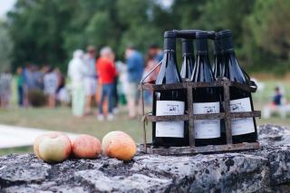 Wine and Food Pairing: A Practical Guide